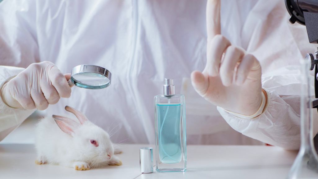 Benefits of Cruelty-Free Certified Products