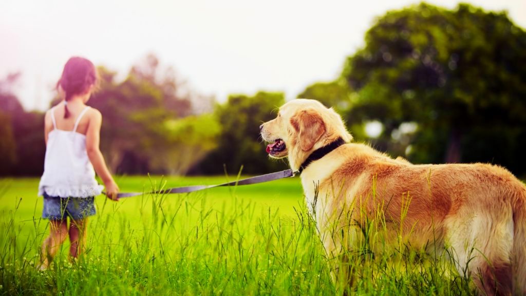 Building a Better World for Animals and People