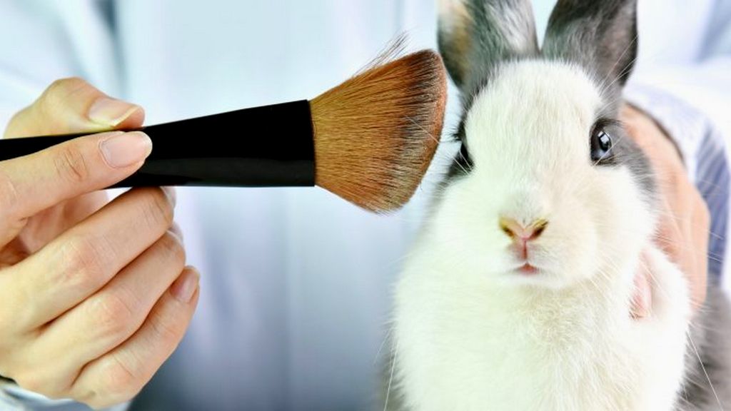 Cruelty-Free Certification for Cosmetics