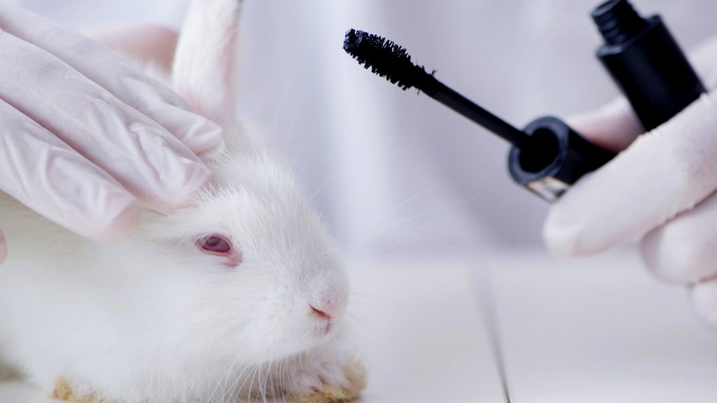 Do All Companies Test on Animals?