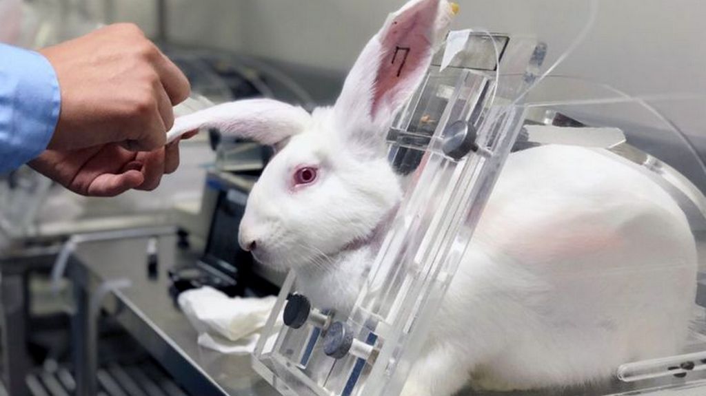 Is Cruelty-free Certification Required by Law?