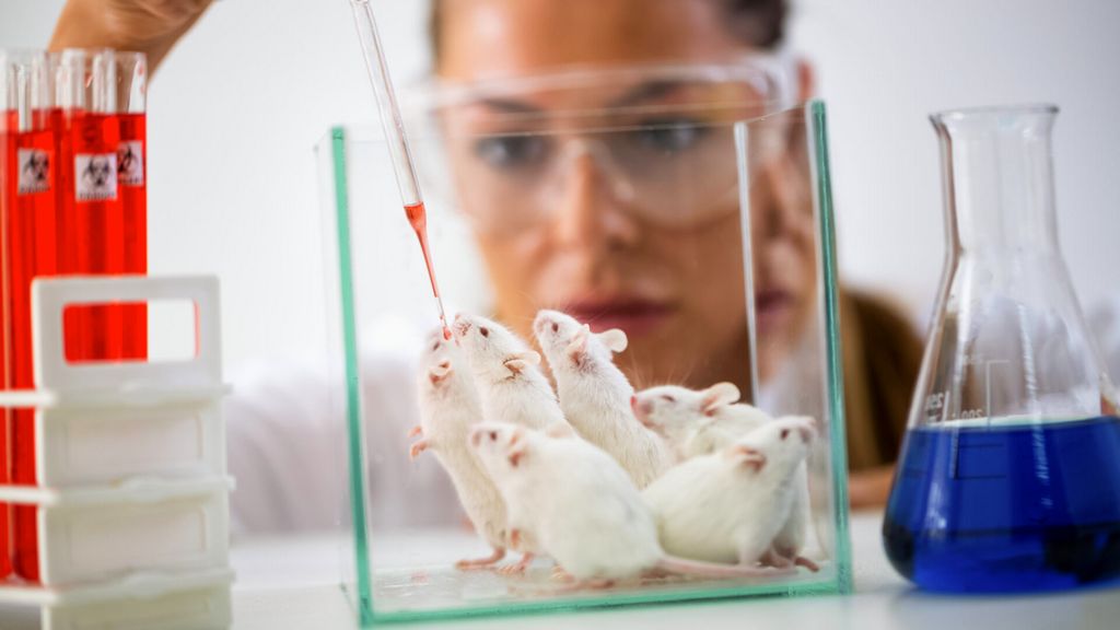 The Future of Cruelty-Free Certification