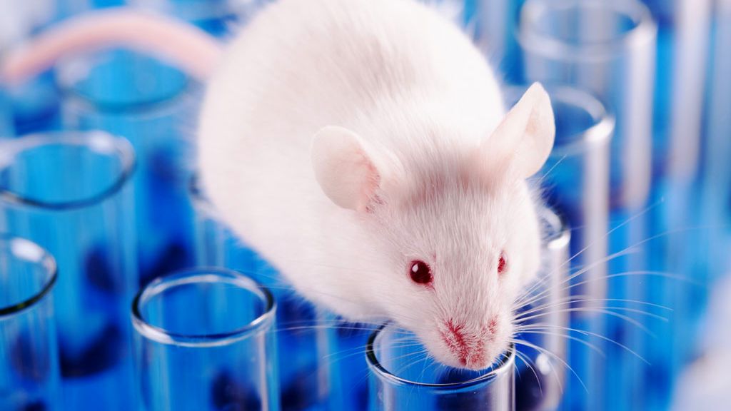 What is Cruelty-Free Certification?