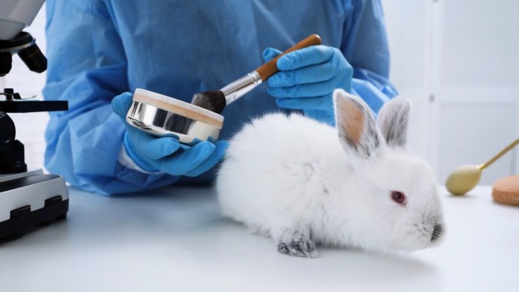 Why is Animal Testing Done?